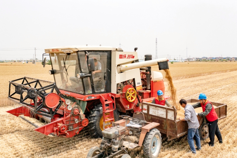 沿着总书记的足迹｜中原大地电助丰收